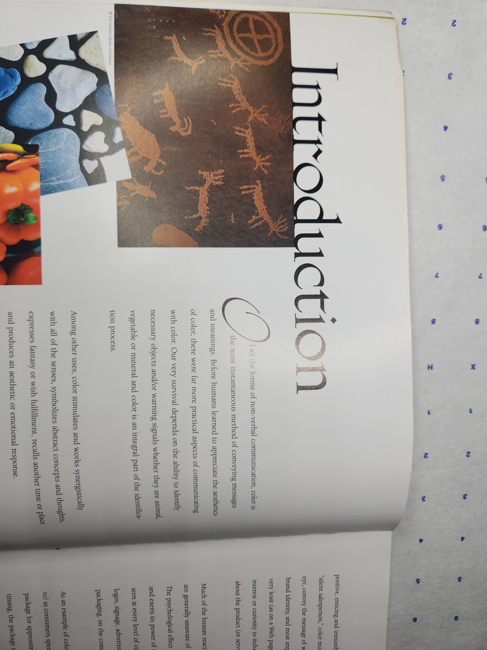 Pantone Guide to Communicating with Color - Color Reference Book - Picture 9 of 13